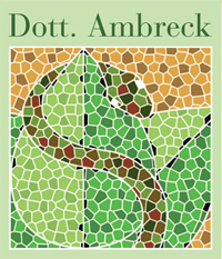 farmacia ambreck