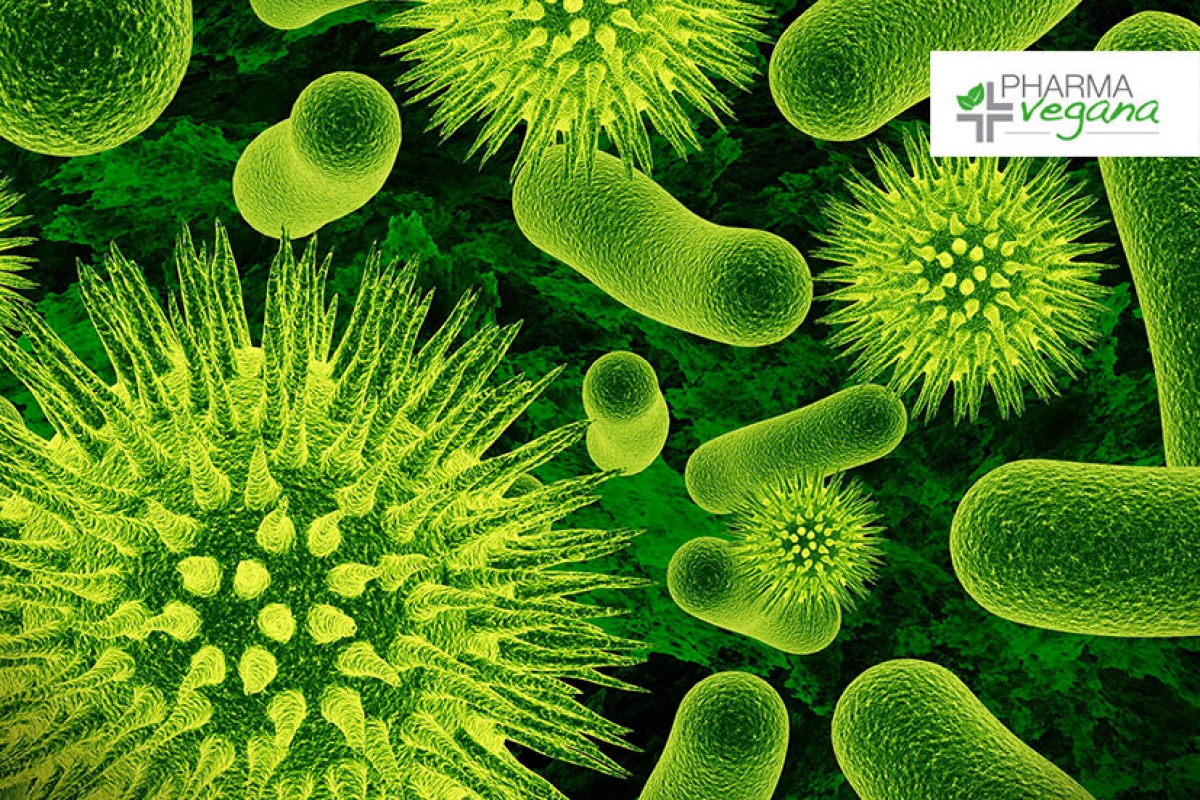 Aumenta le tue difese con i consigli del farmacista Pharmavegana
